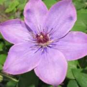 ヒメ日記 2025/05/08 09:42 投稿 けいな 吉祥寺おかあさん