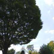 ヒメ日記 2025/08/30 15:22 投稿 けいな 吉祥寺おかあさん