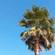 ヒメ日記 2025/12/04 11:02 投稿 けいな 吉祥寺おかあさん