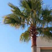 ヒメ日記 2025/12/17 11:22 投稿 けいな 吉祥寺おかあさん