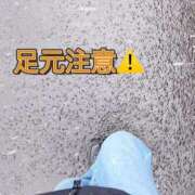 ヒメ日記 2025/03/14 10:42 投稿 早瀬　なおみ ソープランド蜜 人妻・美熟女専門店