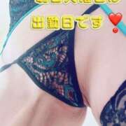 ヒメ日記 2025/03/24 18:42 投稿 早瀬　なおみ ソープランド蜜 人妻・美熟女専門店