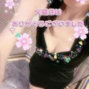 ヒメ日記 2025/03/26 01:22 投稿 早瀬　なおみ ソープランド蜜 人妻・美熟女専門店