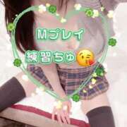 ヒメ日記 2025/03/26 12:52 投稿 早瀬　なおみ ソープランド蜜 人妻・美熟女専門店