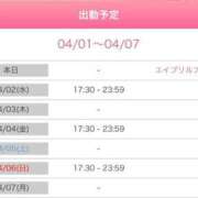 ヒメ日記 2025/04/01 19:22 投稿 早瀬　なおみ ソープランド蜜 人妻・美熟女専門店