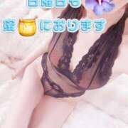 ヒメ日記 2025/04/05 09:19 投稿 早瀬　なおみ ソープランド蜜 人妻・美熟女専門店