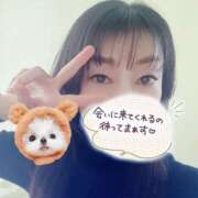 ヒメ日記 2025/04/09 16:12 投稿 早瀬　なおみ ソープランド蜜 人妻・美熟女専門店