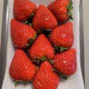 ヒメ日記 2025/04/26 12:04 投稿 早瀬　なおみ ソープランド蜜 人妻・美熟女専門店