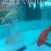 ヒメ日記 2026/05/17 09:01 投稿 レオナ CANDY　BELOVED