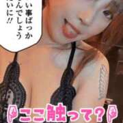 ヒメ日記 2025/07/03 07:00 投稿 まいりん♥ アラカルト