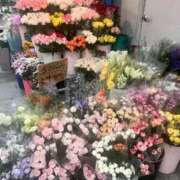 ヒメ日記 2025/11/09 21:24 投稿 月島せら ESTE ALLURE