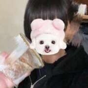 ヒメ日記 2026/03/10 14:32 投稿 みれい Number Five 品川（シンデレラグループ）