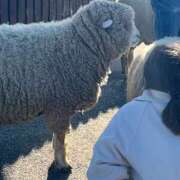 ヒメ日記 2025/04/16 06:19 投稿 ほのか One More 奥様　松戸店