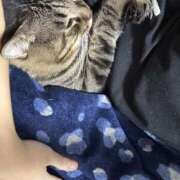 ヒメ日記 2025/09/24 09:39 投稿 ほのか One More 奥様　松戸店