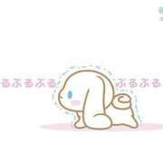 ヒメ日記 2025/08/10 06:59 投稿 千堂しずか 一夜妻