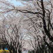 ヒメ日記 2025/04/09 10:21 投稿 上杉 ひろみ こあくまな熟女たち太田店（KOAKUMAグループ）