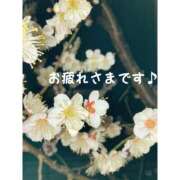 ヒメ日記 2025/03/10 21:05 投稿 篠原詩織 プレジデントハウス
