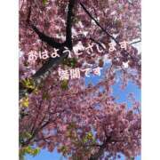 ヒメ日記 2025/03/26 08:14 投稿 篠原詩織 プレジデントハウス