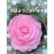 ヒメ日記 2025/04/05 10:30 投稿 篠原詩織 プレジデントハウス