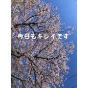 ヒメ日記 2025/04/09 11:15 投稿 篠原詩織 プレジデントハウス