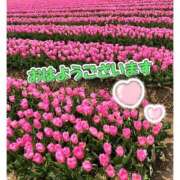 ヒメ日記 2025/04/22 10:37 投稿 篠原詩織 プレジデントハウス