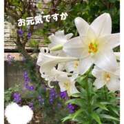 ヒメ日記 2025/06/15 10:42 投稿 篠原詩織 プレジデントハウス