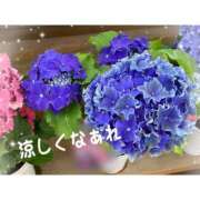 ヒメ日記 2025/06/20 09:49 投稿 篠原詩織 プレジデントハウス