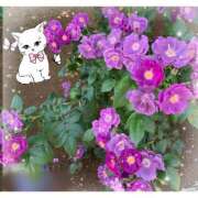 ヒメ日記 2025/07/03 00:20 投稿 篠原詩織 プレジデントハウス