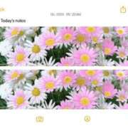 ヒメ日記 2025/11/05 09:50 投稿 篠原詩織 プレジデントハウス