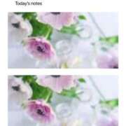 ヒメ日記 2025/12/23 13:59 投稿 篠原詩織 プレジデントハウス