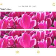 ヒメ日記 2026/02/04 05:55 投稿 篠原詩織 プレジデントハウス
