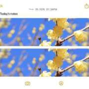 篠原詩織 3月の予定です プレジデントハウス