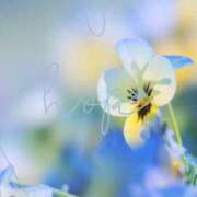 ヒメ日記 2026/03/29 11:06 投稿 篠原詩織 プレジデントハウス