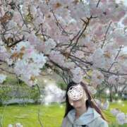 ヒメ日記 2026/04/05 08:41 投稿 篠原詩織 プレジデントハウス