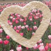 篠原詩織 おはようございます プレジデントハウス