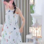ヒメ日記 2026/06/18 08:15 投稿 篠原詩織 プレジデントハウス
