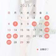 ヒメ日記 2025/04/03 20:16 投稿 あんな クラブハウスシェル