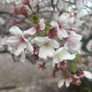 ヒメ日記 2026/04/07 18:13 投稿 あずき アイドルリーグ