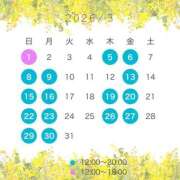 ヒメ日記 2026/02/22 08:01 投稿 まひろ 秘書室(吉原)