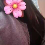 ヒメ日記 2025/06/19 17:36 投稿 さくら 鹿児島ちゃんこ 天文館店