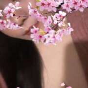 ヒメ日記 2025/06/22 04:01 投稿 さくら 鹿児島ちゃんこ 天文館店