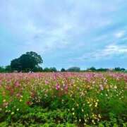 ヒメ日記 2025/10/23 22:41 投稿 さくら 鹿児島ちゃんこ 天文館店