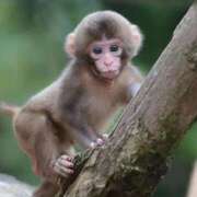 ヒメ日記 2025/10/23 22:47 投稿 さくら 鹿児島ちゃんこ 天文館店