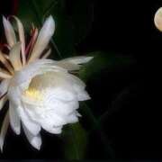 ヒメ日記 2025/10/23 22:56 投稿 さくら 鹿児島ちゃんこ 天文館店