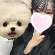 ヒメ日記 2025/03/07 20:15 投稿 ゆう 桃色クリスタル