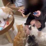 ヒメ日記 2025/02/26 08:16 投稿 かなえ feel＆airi