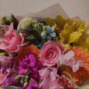 ヒメ日記 2025/03/27 08:06 投稿 えみ feel＆airi