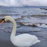 ヒメ日記 2025/04/18 09:16 投稿 えみ feel＆airi