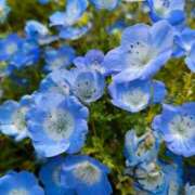 ヒメ日記 2025/04/25 08:56 投稿 えみ feel＆airi