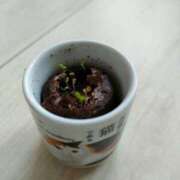 ヒメ日記 2025/05/05 09:06 投稿 えみ feel＆airi